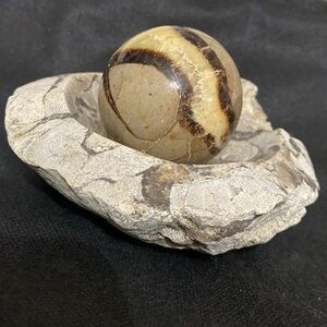 Madagascar Yellow Brown Septarian Dragon Crystal Mineral Sphere with holder
